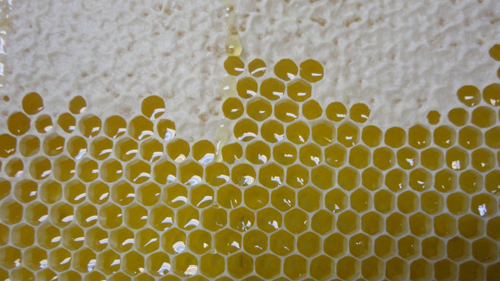 Leckeren Honig kaufen – Freizeit-Imker